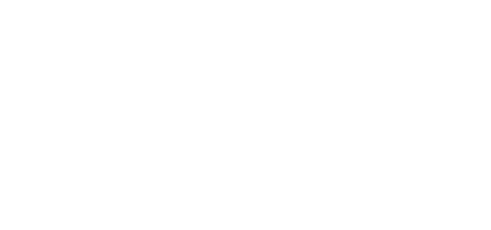 Logo - Chaotic Circus